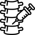spine (1)