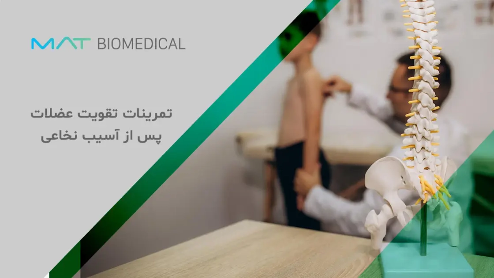 تمرینات تقویت عضلات پس از آسیب نخاعی